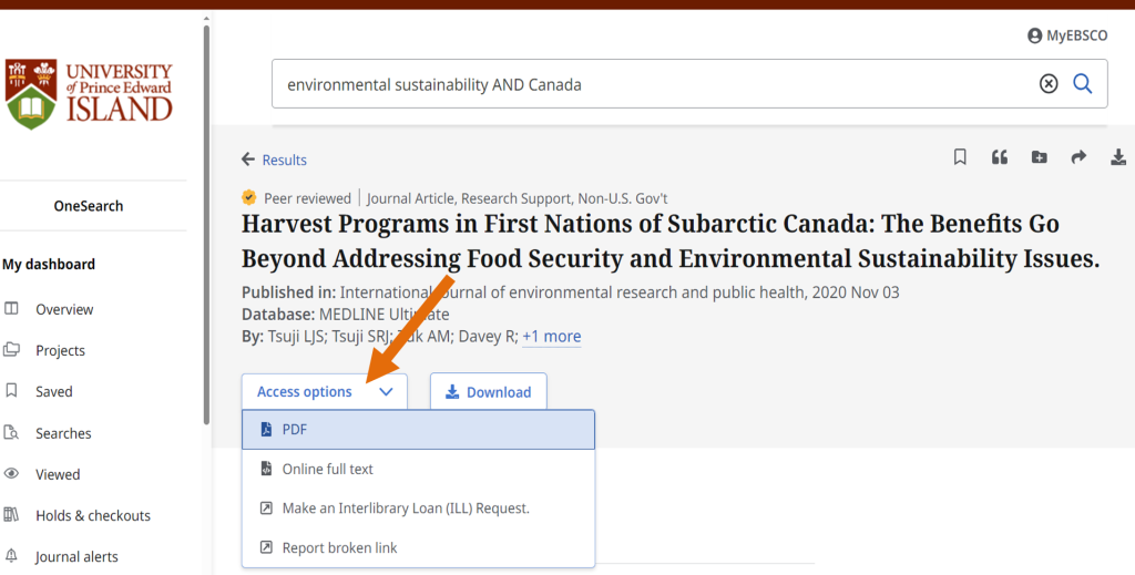 Arrow pointing to Access options